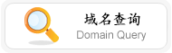 ѯ,Domain Query